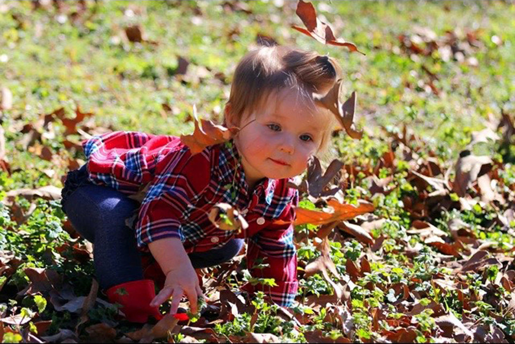 Amelie Leaves